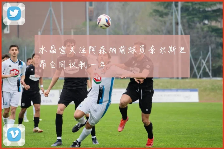 水晶宫关注阿森纳前球员奈尔斯里昂合同仅剩一年