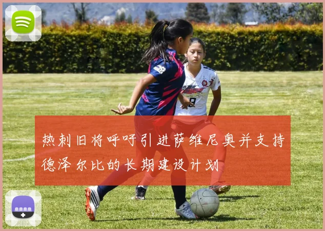 热刺旧将呼吁引进萨维尼奥并支持德泽尔比的长期建设计划